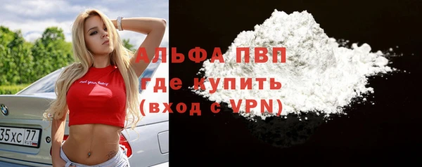 apvp Алзамай