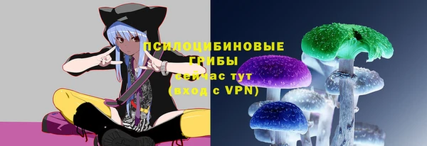 apvp Алзамай